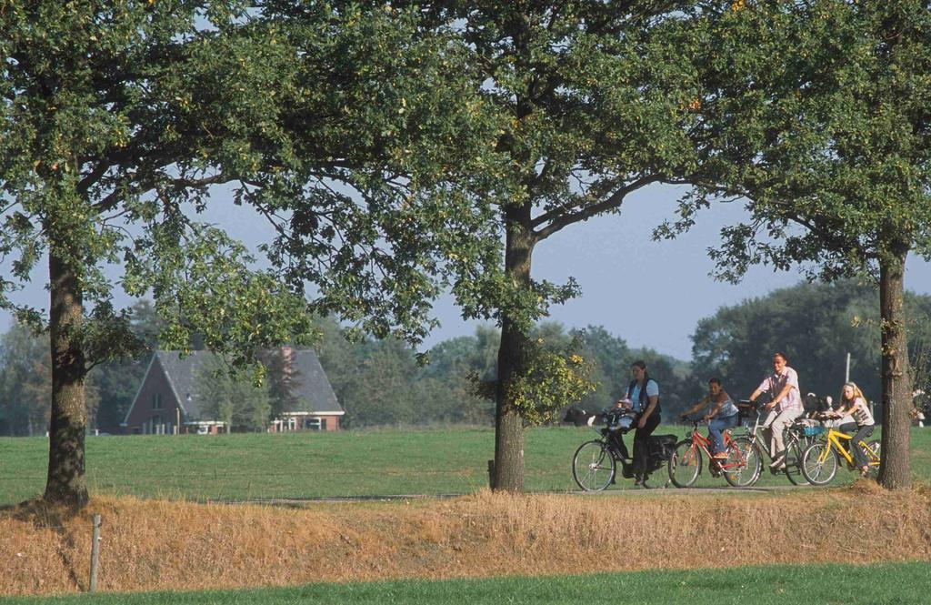 Camping het Wieskamp Henxel Eksteriør bilde